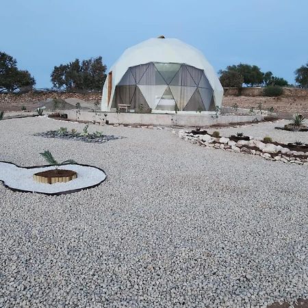Tassourt Lodge Есувейра Екстериор снимка